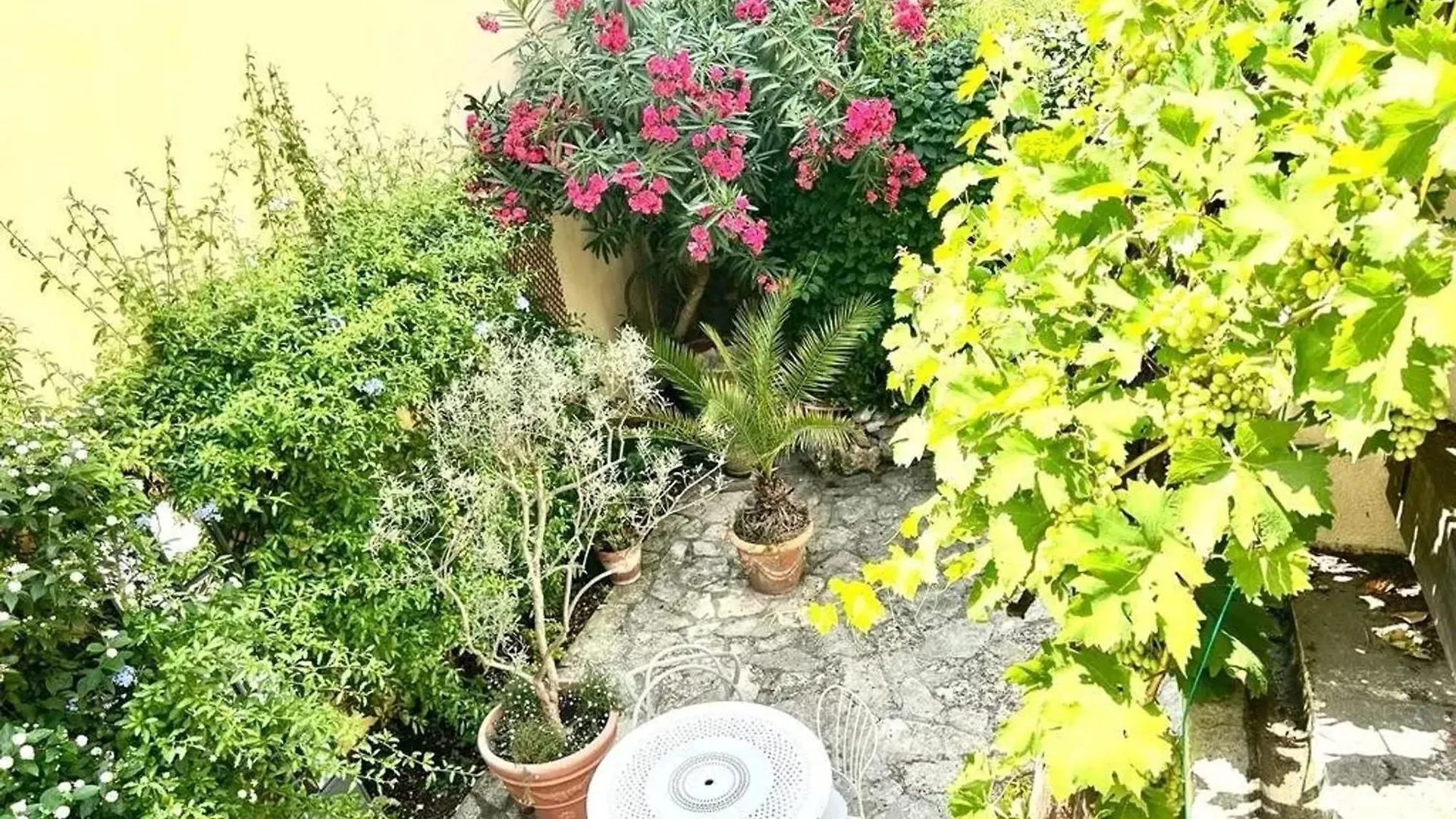 Maison De 3 Chambres Avec Jardin Clos Et Wifi A Mouans-Sartoux